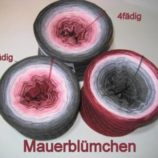 Mauerblümchen - GeWolltes