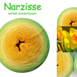 Narzisse - GeWolltes