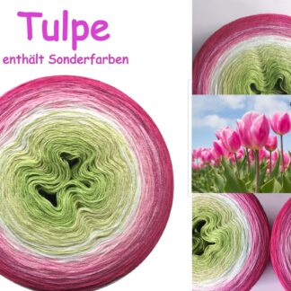Tulpe - GeWolltes