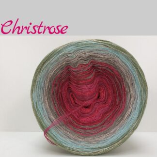 Christrose - Drachenstein