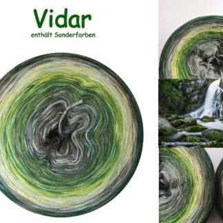 Vidar - GeWolltes