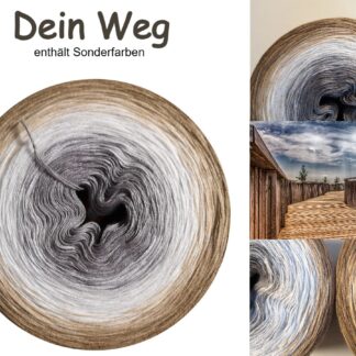 Dein Weg - GeWolltes